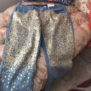 🛍 Chico’s Platinum